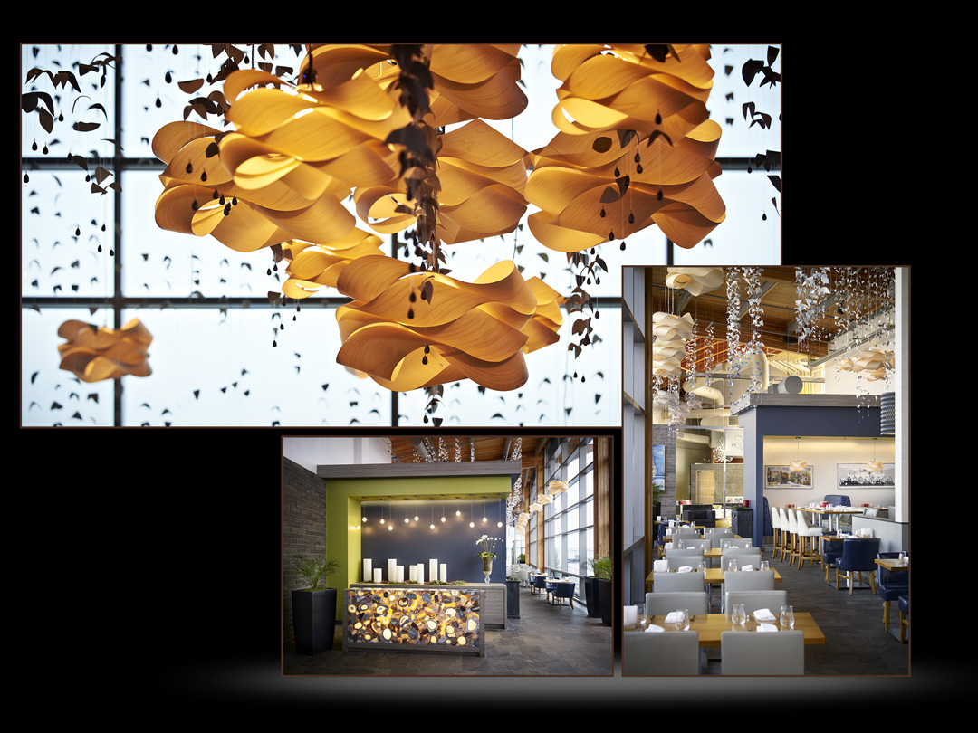  © Carole & Roy Timm Photography 