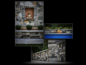  © Carole & Roy Timm Photography 