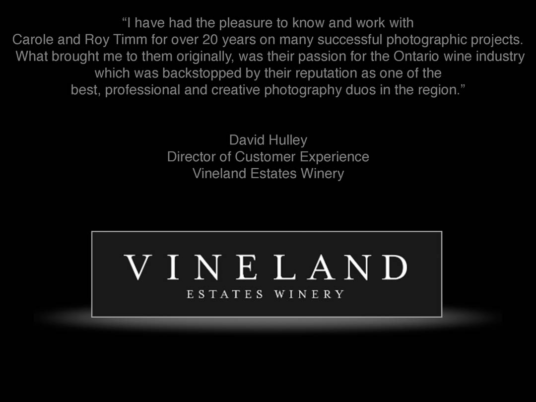 Carole & Roy Timm Photography_Corporate_Commercial_Creative