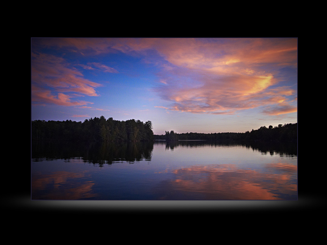  Carole Roy Timm Photography 