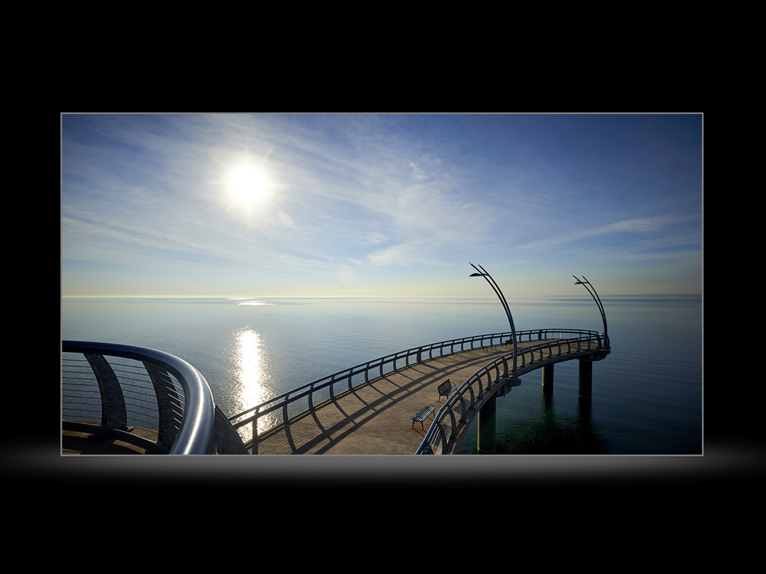  Carole Roy Timm Photography 