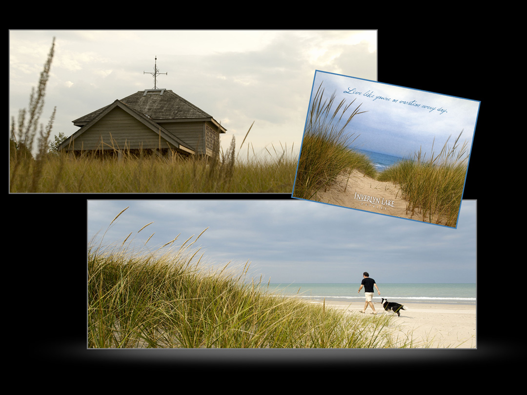  Carole Roy Timm Photography 