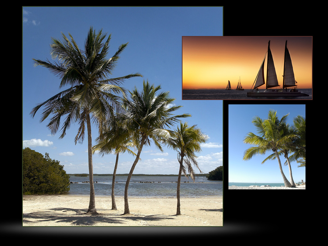  Carole & Roy Timm Photography 