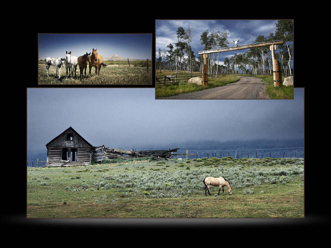  Carole & Roy Timm Photography 