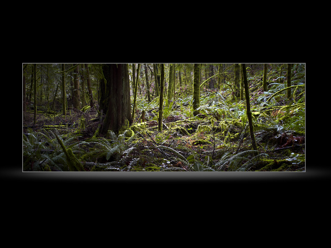  Carole & Roy Timm Photography 