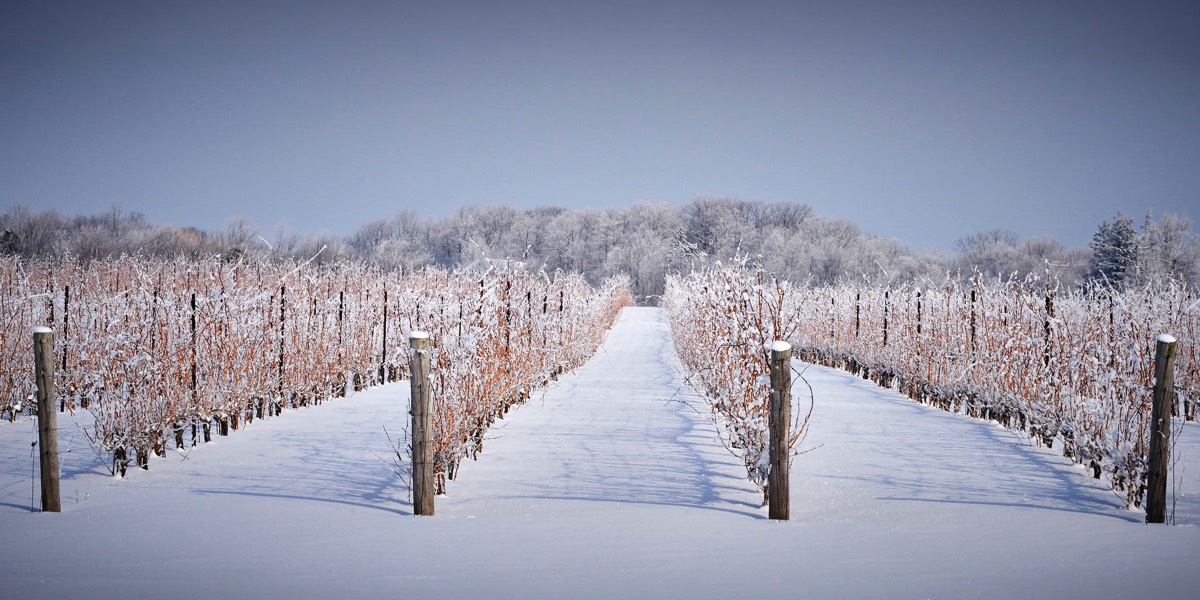 Hotel Photographer, Hotel & Resort Photographer, Carole & Roy Timm Photography,21